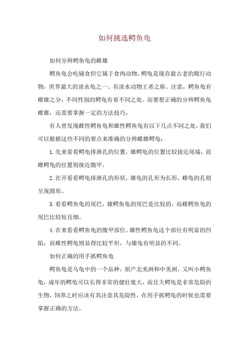 如何挑选鳄鱼龟