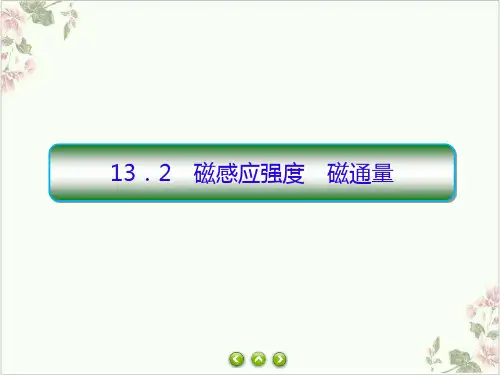 人教教材《磁感应强度磁通量》ppt优秀课件