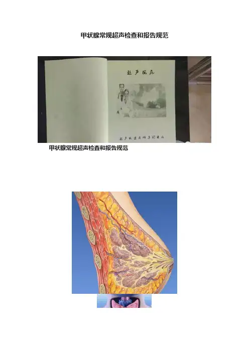 甲状腺常规超声检查和报告规范