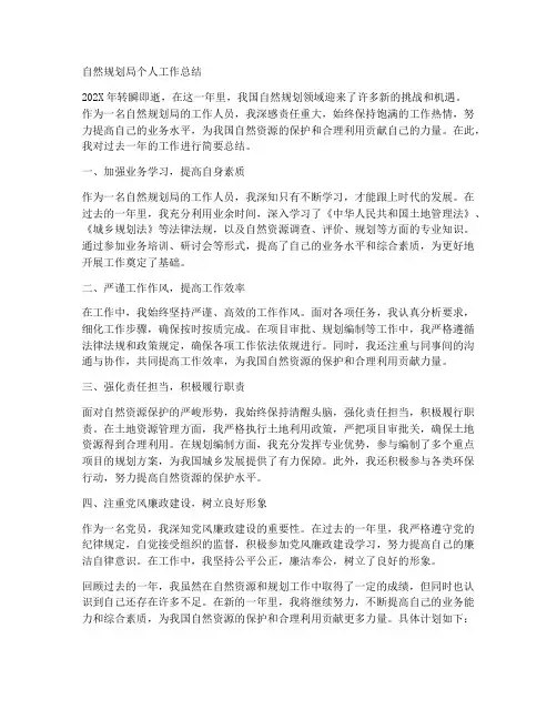 自然规划局个人工作总结