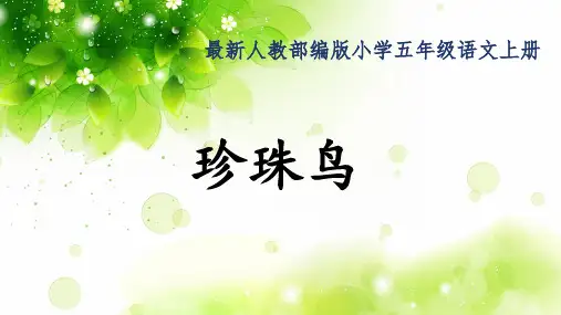 最新人教部编版小学五年级语文上册《珍珠鸟》公开课精品课件