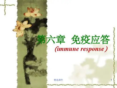 第六章 免疫应答