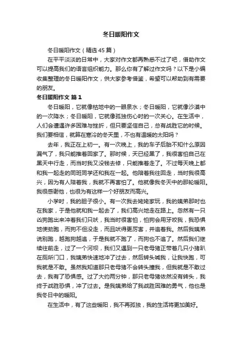 冬日暖阳作文（精选45篇）