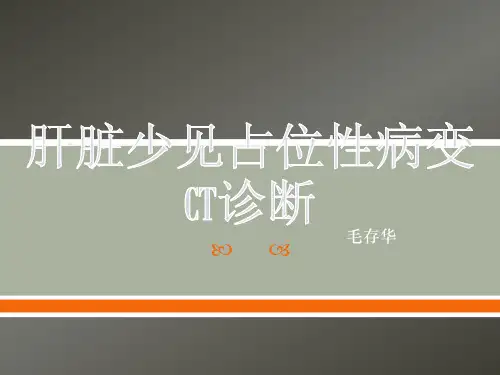 肝脏少见占位性病变ct诊断