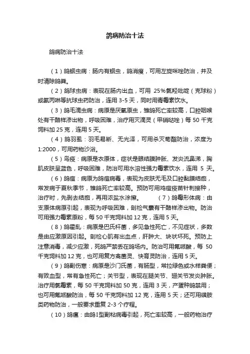 鸽病防治十法