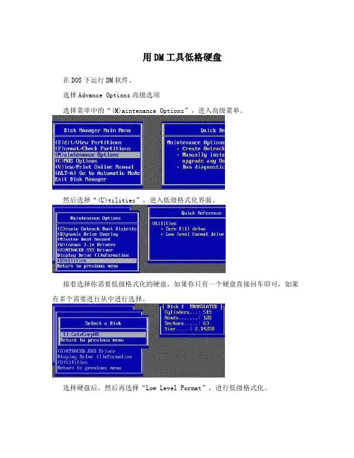 用DM工具低格硬盘