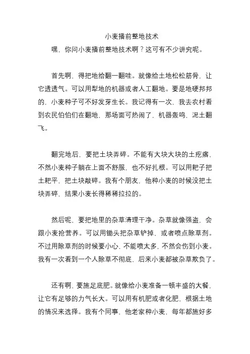 小麦播前整地技术