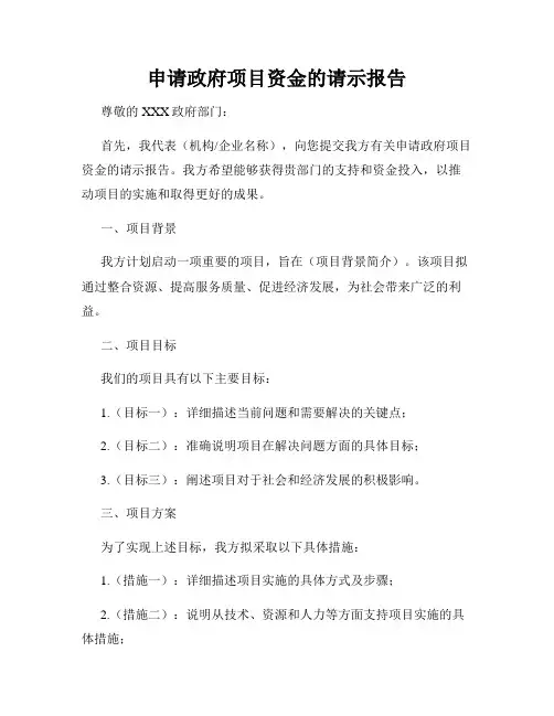 申请政府项目资金的请示报告