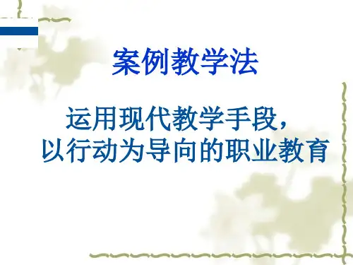 案例教学法