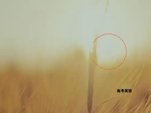 2018高考英语异构异模复习考案课件 专题9 并列句和状语从句 9-1 精品