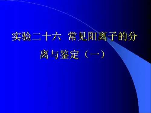 实验二十六 常见阳离子的分离和鉴定-PPT精选文档