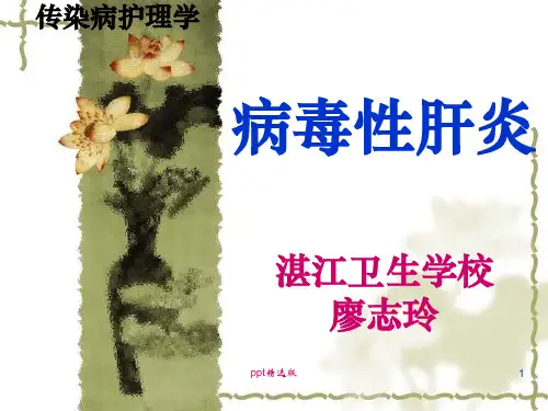 病毒性肝炎的护理ppt课件
