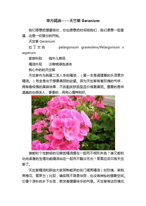单方精油~~~天竺葵Geranium