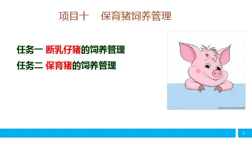 保育猪的饲养管理课件(共59张PPT)《猪生产》