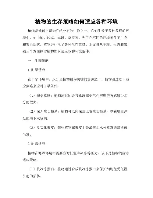 植物的生存策略如何适应各种环境