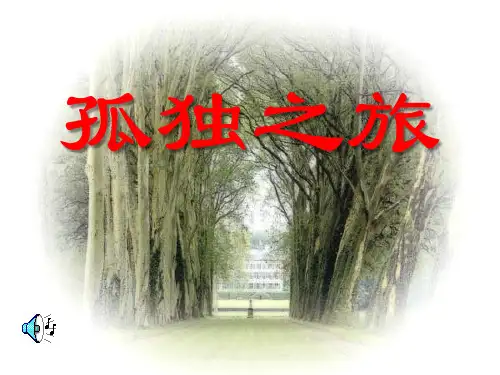 《孤独之旅》PPT课件5 (共11张PPT)