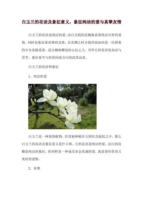 白玉兰的花语及象征意义,象征纯洁的爱与真挚友情