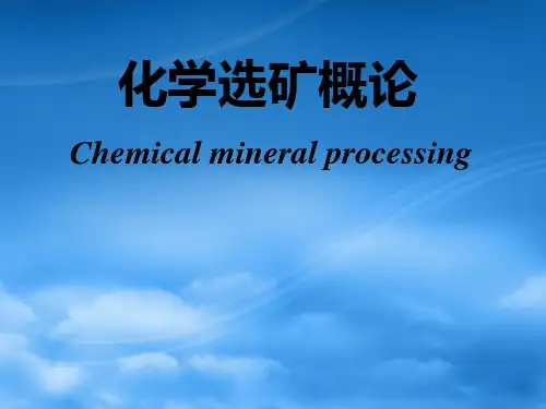54选矿概论PPT课件