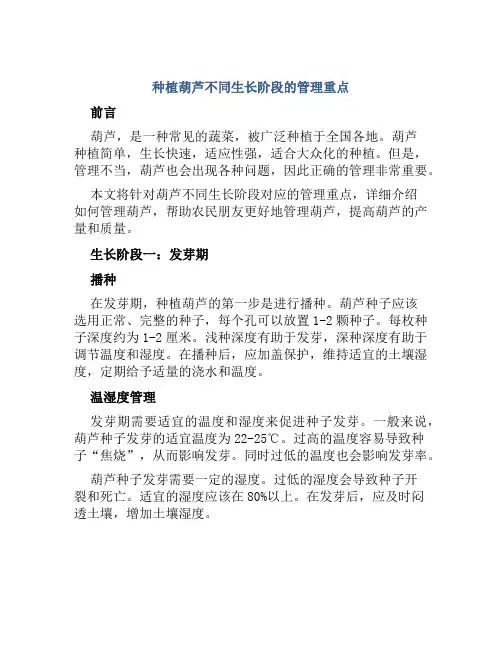 种植葫芦不同生长阶段的管理重点