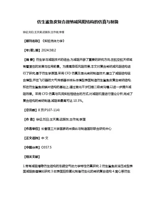 仿生鲨鱼皮复合微纳减风阻结构的仿真与制备