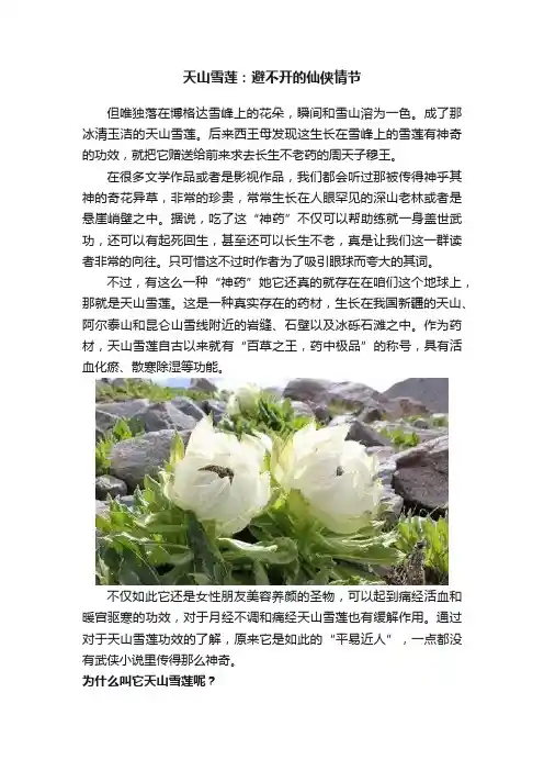 天山雪莲：避不开的仙侠情节