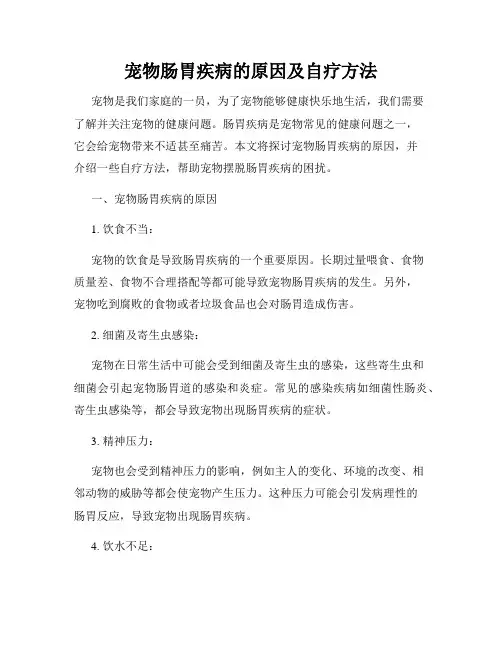 宠物肠胃疾病的原因及自疗方法
