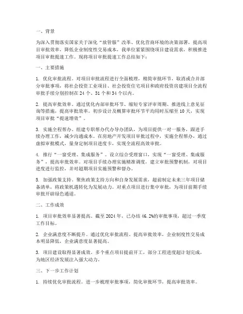 项目审批提速工作总结报告