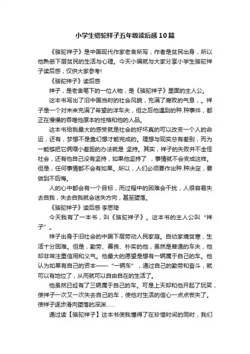 小学生骆驼祥子五年级读后感10篇