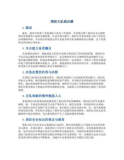 消防大队观后感