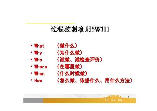 3过程分析图乌龟图