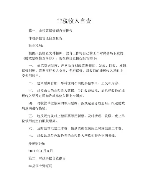 非税收入自查