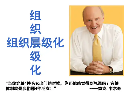 组织层级化
