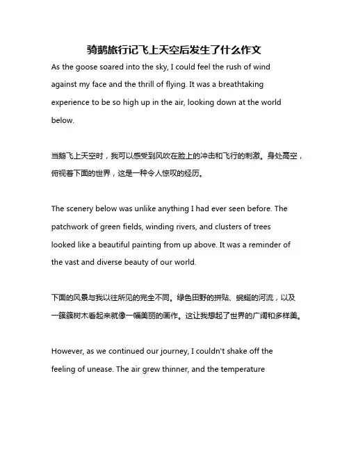 骑鹅旅行记飞上天空后发生了什么作文