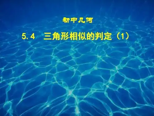 相似三角形的判定(一)