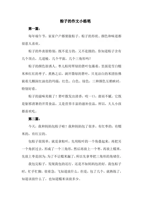 粽子的作文小练笔