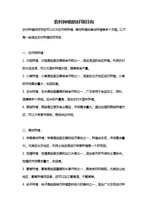 农村种植的好项目有