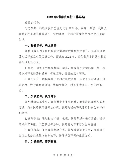 2024年村清洁乡村工作总结