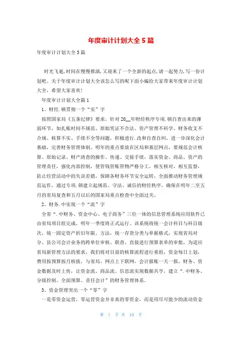 年度审计计划大全5篇