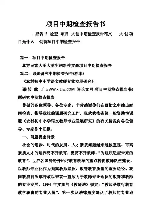 项目中期检查报告书