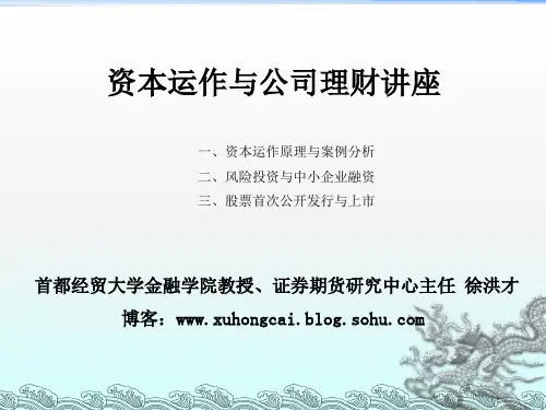 《资本运作讲义》PPT课件