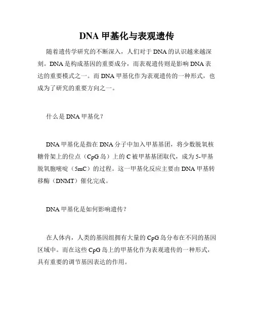 DNA甲基化与表观遗传