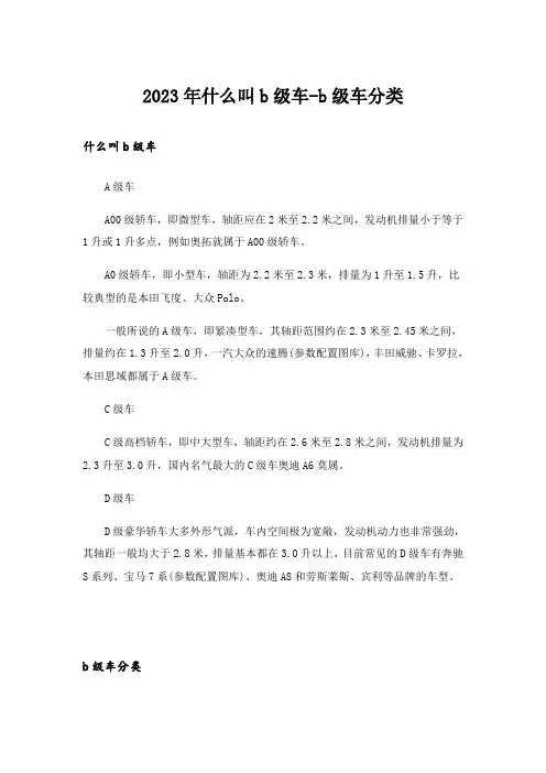 2023年什么叫b级车-b级车分类