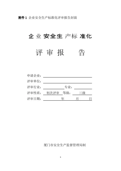 安标评审报告样例