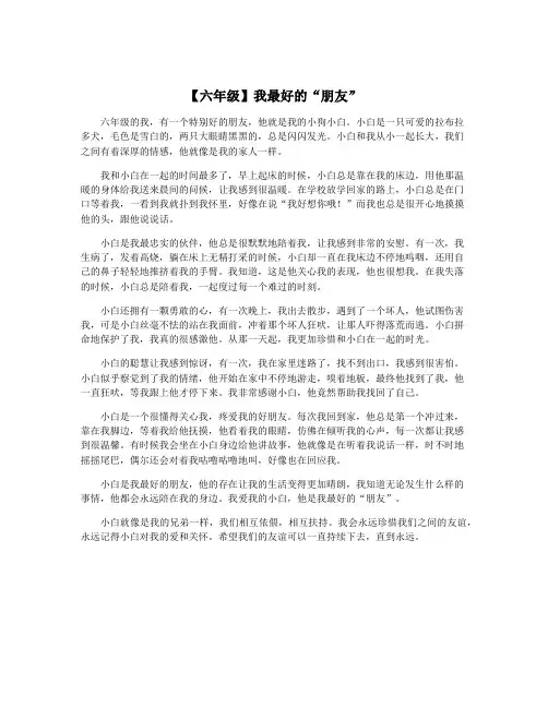 【六年级】我最好的“朋友”