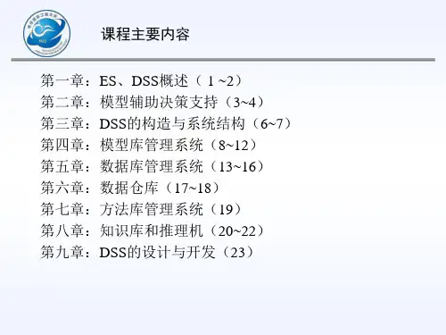 专家与决策支持系统