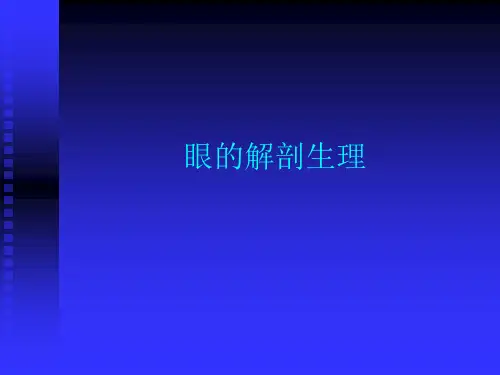 眼的解剖生理PPT课件