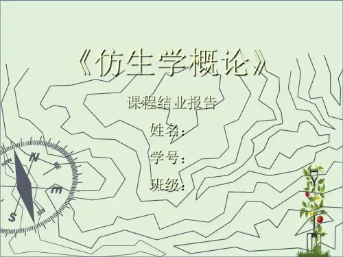 仿生学-(-3)