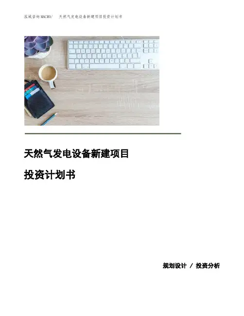 天然气发电设备新建项目投资计划书