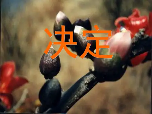 决定的概念和种类