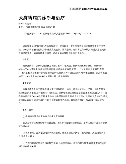 犬疥螨病的诊断与治疗